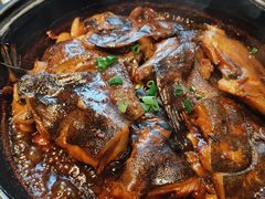 砂锅碟鱼头-双合园·海鲜水饺青岛菜(大尧三路店)