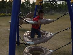 -上海长兴岛郊野公园