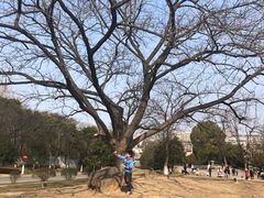 -南京市江宁方山