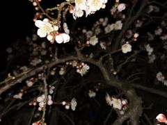 -白塘生态植物园