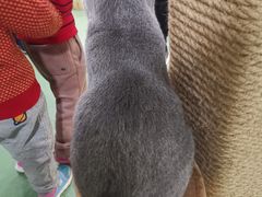 -藦茜花园宠物主题亲子互动体验馆(国顺东路店)