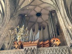 -斯蒂芬主教座堂(Stephansdom)