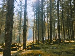 -硗碛藏寨·神木垒景区