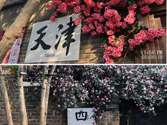 -天津五大道文化旅游区