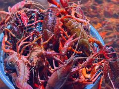 -聚盛源蒸汽海鲜火锅烤肉自助(巨川金海岸购物广场店)