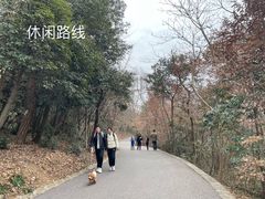 -紫金山山顶公园