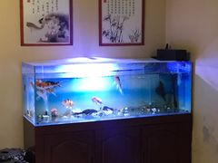 -席仁堂推拿按摩脊柱调理(世纪科贸大厦店)
