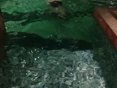 -卡拉卡拉漫温泉汗蒸
