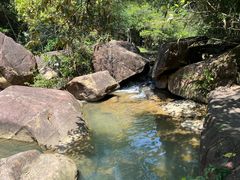 -广州白江湖森林公园