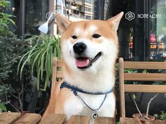 -Home Cafe(水榭春天店)