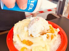 -铁真·刨冰红焖羊肉·正宗老字号