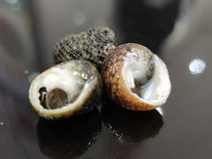 -天宫南铂玫瑰园酒店
