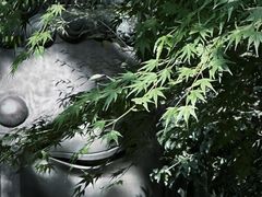 -杭州植物园