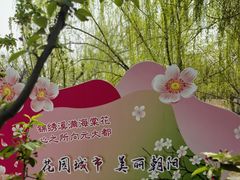 -海棠花溪(元大都城垣遗址公园)
