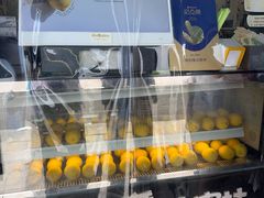 -猫的魔法密林(衣裳街店)