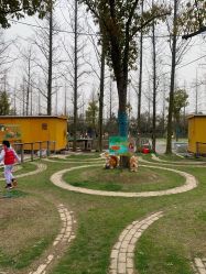 -前小桔亲子创意农场·草莓采摘·露营烧烤
