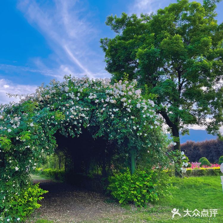 西安周边游｜莫奈花园