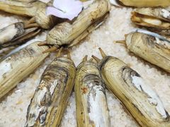-海味世家·家常菜馆(明州里店)