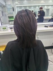 -镁连社·美联社