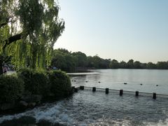 -西湖外事游船(花港观鱼码头)