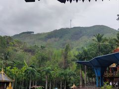 -西双版纳原始森林公园