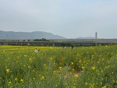 -光明小镇欢乐田园
