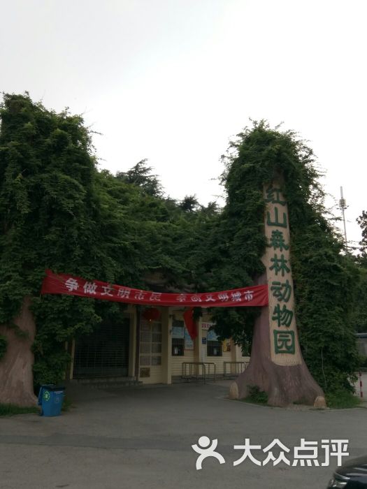 紅山森林動物園圖片 - 第1633張