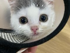 -1013 PET SHOP 宠物商店(近铁城市广场店)