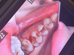 -瑞尔齿科(南京东路名人诊所)
