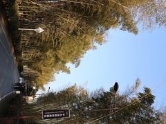 -池州市平天湖风景区