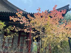 -晋祠公园