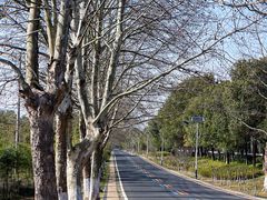 -游子山休闲旅游区