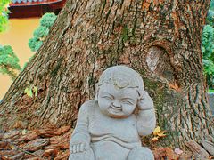 -龙华寺