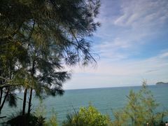 -广东惠东海龟国家级自然保护区