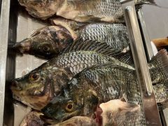 -马街老字号罗非鱼庄(昙华寺店)