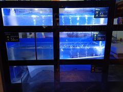 水产区-严厨老坛酸菜鱼(吴江万宝店)