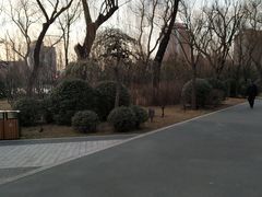 -迎泽公园