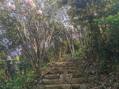 -梧桐山风景名胜区