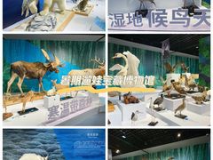 -中国湿地博物馆