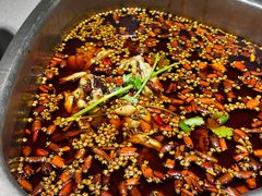 -味之绝热血美蛙鱼火锅(九眼桥店)