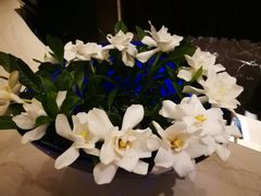 -大理国际大酒店·SPA蓝逸水疗中心