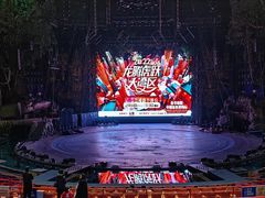 -广州长隆国际大马戏