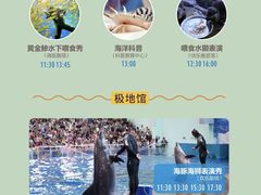 -西安曲江海洋极地公园