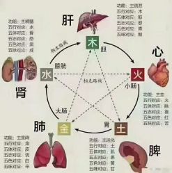 -香薇妮丝女子减肥院