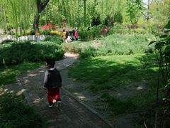 -康庄公园