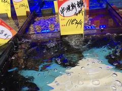 -明香海鲜酒家(华强北店)