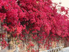 -有红鸡毛店·川菜(建设路店)