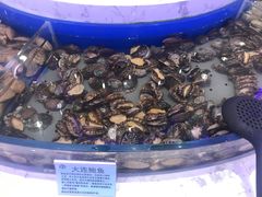 -澜悦港海鲜体验主题餐厅