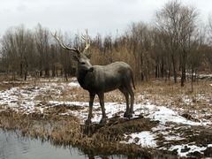 -溱湖国家湿地公园