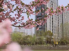 -运河游船(武林门码头)